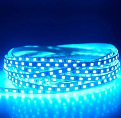 Светодиодная лента Maxled 120 SMD2835 IP22 12v Синяя
