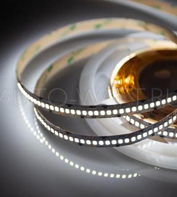 Светодиодная лента Maxled 240 SMD2835 IP22 12v Белая